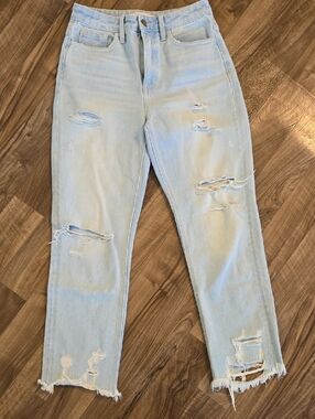 Flying Monkey Light Wash Distressed Boyfriend Jeans